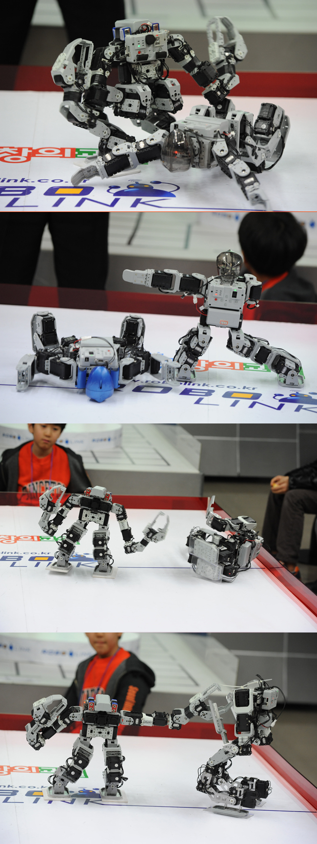 20110126-10.jpg